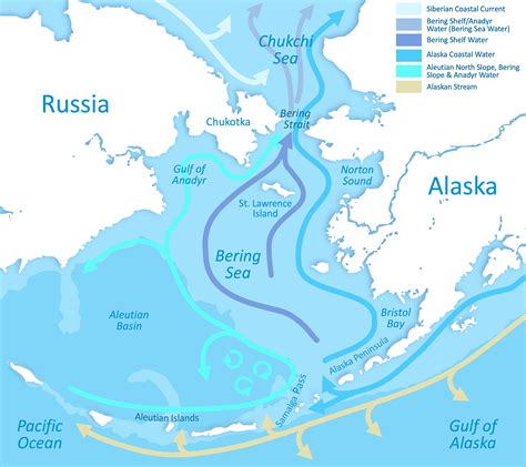 Frontiers | Biologically Important Areas II for cetaceans within U.S ...