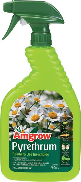 Pyrethrum RTU - Amgrow Home Garden