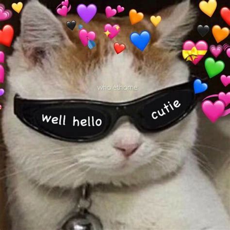 √ Cat Reaction Meme Wholesome Cat Heart Meme Recommendation - News ...