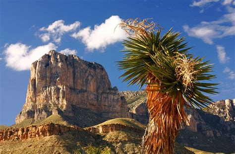 10 Top-Rated Tourist Attractions in El Paso | PlanetWare