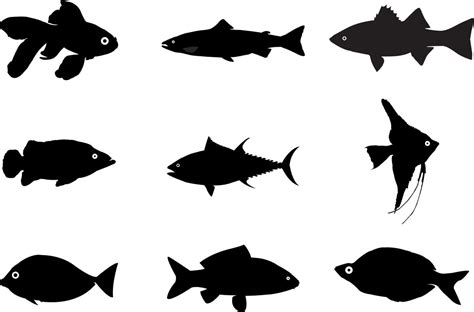 Fish Silhouette Set, Fish Vector Silhouette 6470025 Vector Art at Vecteezy