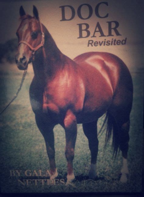 10 Doc bar ideas | quarter horse, aqha horses, horses