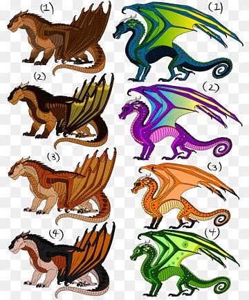 Free download | Dragon Wings of Fire Graphic design, dragon, dragon ...