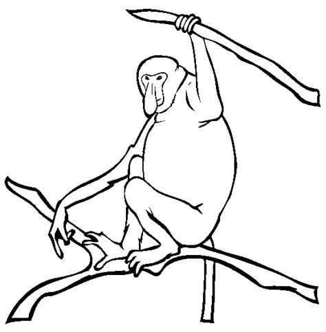 Proboscis Monkey coloring page - Animals Town - animals color sheet ...