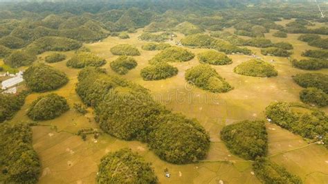 Chocolate Hills in Bohol, Philippines, Aerial View. Stock Image - Image ...