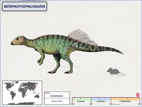 Micropachycephalosaurus / Вымершие животные / Твой Блог