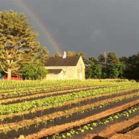 Farm Reflections | Stonehill College