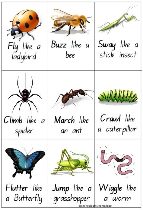 Insect / Bugs Action cards – Jasmine Blooms Gross motor or brain break ...