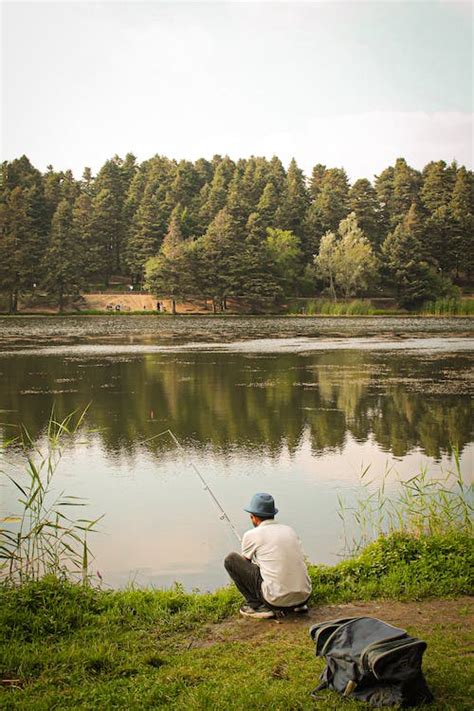 Angler Fishing From the River Bank · Free Stock Photo