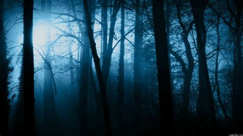 Horror Forest Wallpapers - Wallpaper Cave