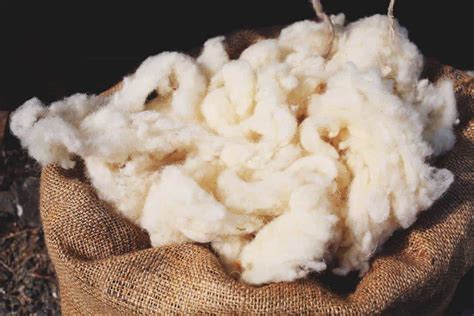 10 Uses for Wool Besides Spinning It