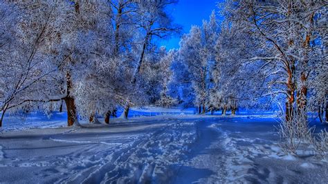 Beautiful Winter Desktop Backgrounds - 1920x1080 Wallpaper - teahub.io