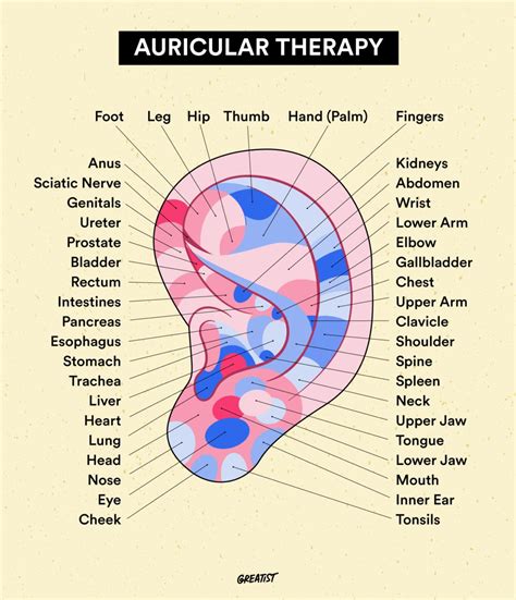 Ear Pressure Points Chart