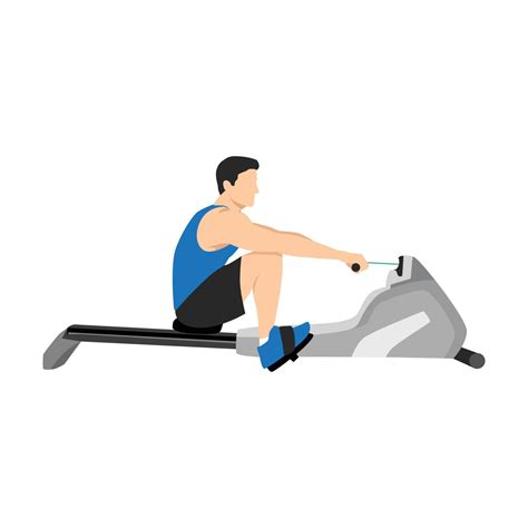 Man doing cardio. Rowing machine flat vector illustration isolated on ...