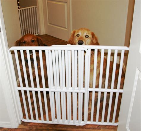 10’ Wide Indoor Dog Gate Is Now Available From Rover Company