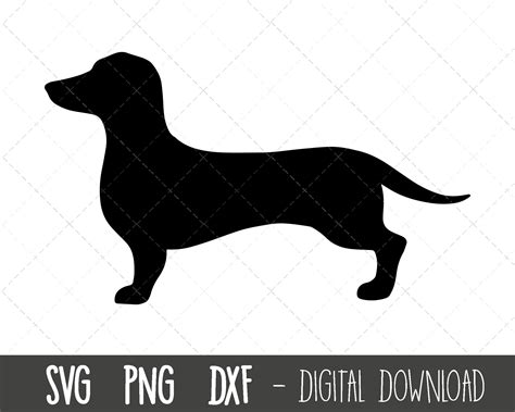 Dachshund Svg Dog Svg Dachshund Silhouette Dachshund - Etsy Australia