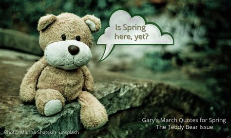 Garys Stories and Quote Gems for March - The Teddy Bear Issue - i24