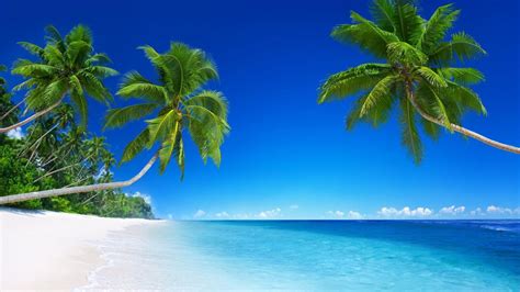 gambar pantai hd - Yahoo Image Search Results | Playas tropicales ...