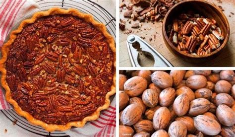 How to Shell Pecans at Home - A Friendly Pecan Guide for Everyone