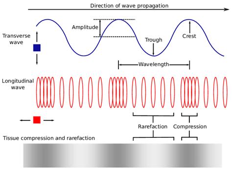 Mechanical Wave Diagram