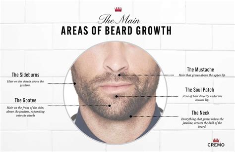 How to Grow a Beard Faster and Naturally - Complete Guide | Cremo Blog