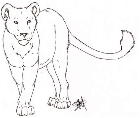 Lioness for McDumbles by Rurouna on DeviantArt