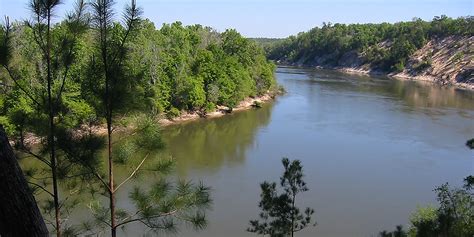 National Forests in Florida - Apalachicola River