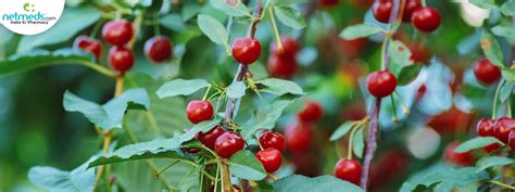 Tart Cherry: Uses And Health Benefits Of Juice And Supplements From ...