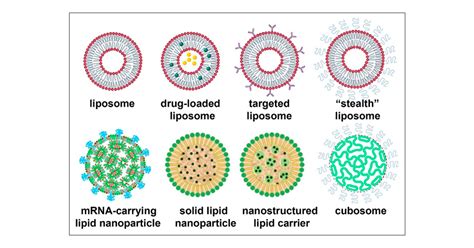 Lipid Nanoparticles─From Liposomes to mRNA Vaccine Delivery, a ...