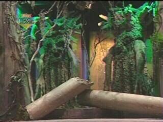 The Dark Forest | Legends of the Hidden Temple Wiki | Fandom