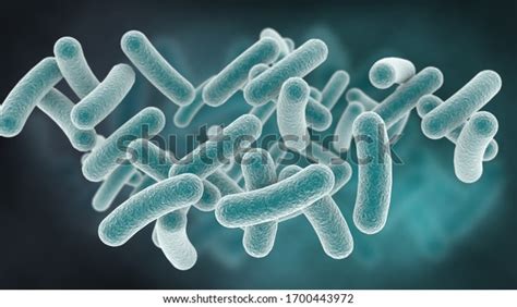 1,766 Lactobacillus Microscope Images, Stock Photos, 3D objects ...