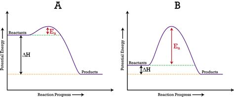 Endothermic Potential Energy Diagram