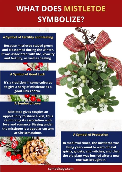 What Is the Symbolism of Mistletoe? - Symbol Sage