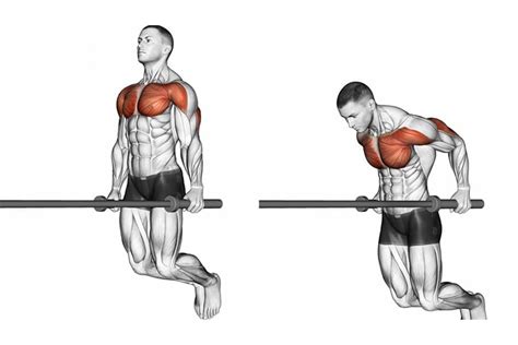 10 Best Chest Exercises for Men | Man of Many | Chest workouts, Chest ...