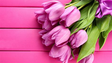 Free Pink Flowers Wallpaper Downloads, [300+] Pink Flowers Wallpapers ...