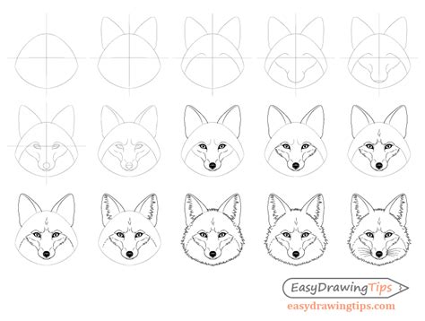 How To Draw A Fox – Learn To Make A Sneaky Fox Picture