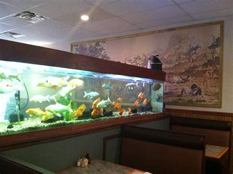 Happy Dragon Restaurant - Restaurants - Leonardtown, MD - Reviews ...