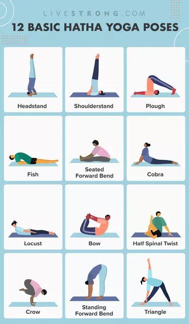 Yoga Positions For Beginners With Names