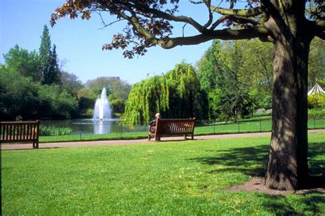 Be Kind to London Parks this Summer | Junkwize