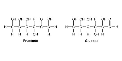 Basic Carbohydrate Chemical Structure