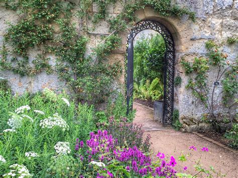 England 2015 postcards: Oxford Botanic Garden | Sonia Gensler