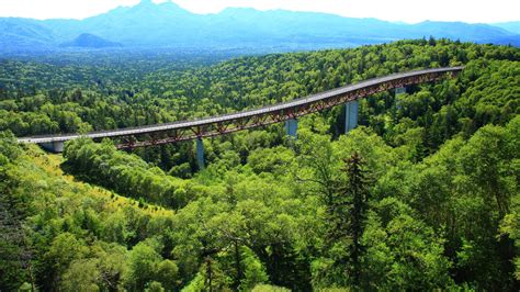 Matsumio bridge and trees, Mikuni Pass, Daisetsuzan National Park ...