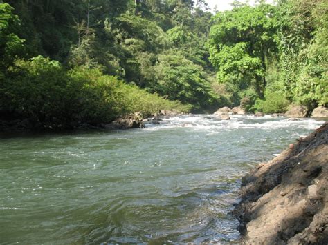 Maton Underground River - The amazon river has an underground ...