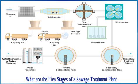 What are the five stages of a Sewage treatment plant