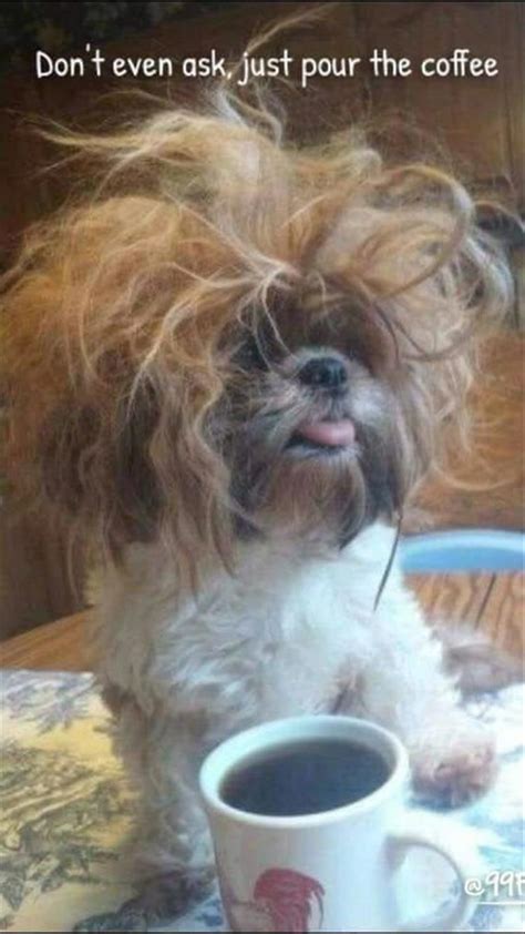 Funny Animal Picdump of The Day 176 (22 Photos) | Funny animal photos ...