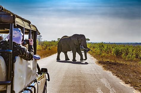 Kruger National Park, South Africa - WorldAtlas