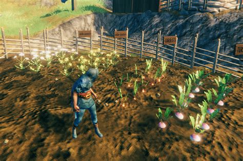 Valheim planting seeds and farming - Polygon