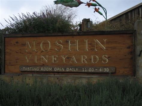 Moshin Vineyards | IntoWine