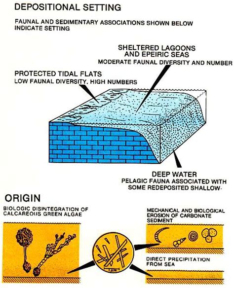 SEPM Strata