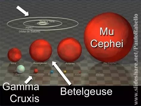 Stars Sizes Comparison Of Different Stars Sizes Vector